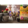 Miracle-Gro Cactus Palm Citrus Potting Soil - 8qt: Enriched Mix for Indoor Plant Growth, Fast Drainage - 4 of 4