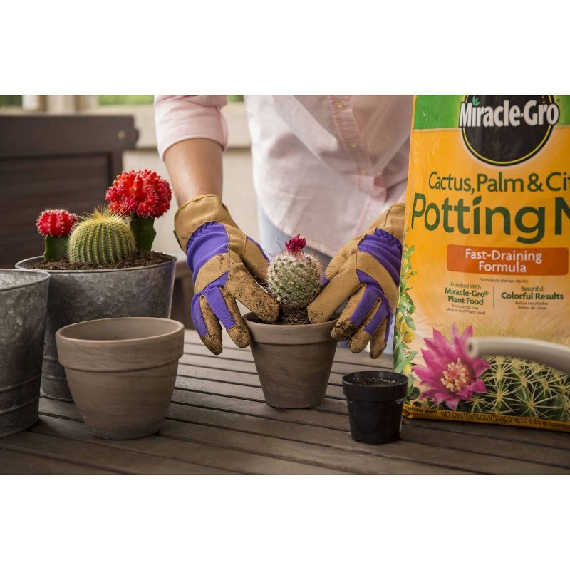 Miracle-Gro Cactus Palm Citrus Potting Soil - 8qt, 5 of 9
