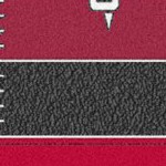 wisconsin badgers