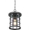 Quoizel Lighting Crusade 1 - Light Pendant in  Earth Black - 4 of 4