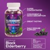 Sambucus Elderberry Immune Gummies - Daily Immune Support for Kids & Adults - Super Concentrated 35:1 Extract, Equivalent to 4200mg - 120 Gummies - 4 of 4