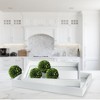 Plum & Post Malibu Mirrored Trays, Set Of 2 - 2 of 3