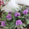 Floral Home 5" Pick Long Lavender Carnation Pick - 50-Piece - 4 of 4