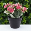 Unique Bargains Artificial Plants Chrysanthemum Plastic 4.33"x4.33"x7.87" 1Pcs - 2 of 4