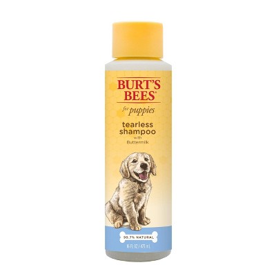 burt's bee shampoo