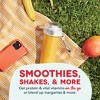 Dash Portable Rechargeable Blender with Sport Cap - 4 of 4
