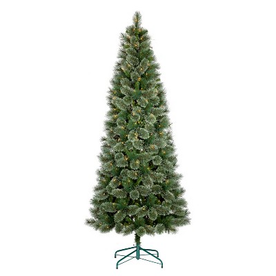 Christmas Trees : Target