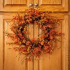 Sullivans Bittersweet & Berry Artificial Wreath 26"H Orange - 2 of 3