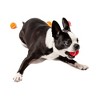 Midlee X-Small Dog Tennis Balls 1.5" Pack of 12 - 2 of 4
