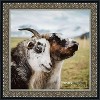 PosterPalooza | Square Ornate Silver Picture Frame - UV Acrylic, Foam Board Backing, Hanging Hardware - 2 of 4