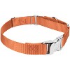 Country Brook Petz Heavyduty Nylon Martingale with Premium Buckle - 4 of 4