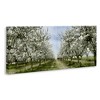 Stupell Industries Blooming White Tree Orchard, 30" x 13" - 3 of 4