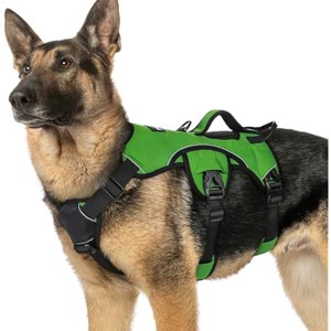 rabbitgoo Escape Proof Dog Harness, Soft Padded Full Body Pet Harness, Reflective Adjustable  Walking Hiking Training, XL, Green - 1 of 1