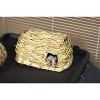 Prevue Pet Products 1096 Nature's Hideaway Grass Hut Toy, Small, 4 x 7 x 3.5 - 2 of 3