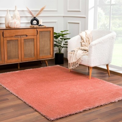 Hauteloom Heavenly Solid Pink Plush Rug