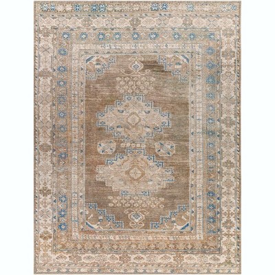 Mark & Day McCordsville 7'10"x10'2" Rectangle Washable Woven Indoor Area Rugs: Stain-Resistant, Traditional Medallion Design