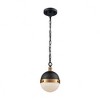 Elk Home Harmelin 1 - Light Pendant in  Matte Black - 3 of 3