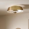 Kichler Lighting Luella 4 - Light Pendant in  Brushed Natural Brass - 4 of 4