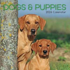 2026 Square Wall Calendar, Dogs & Puppies, 16-Month Animals Theme with 180 Reminder Stickers (12x12 In) - 1 of 4