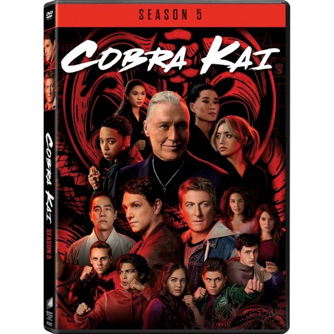 Cobra Kai: Season 3 (DVD)