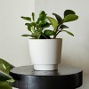 Bloem Harlow Round Resin Planter Pot Indoor and Outdoor Gardening - 2 of 4