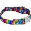 Country Brook Petz Martingale Dog Collar with Premium Buckle - Groovy Collection - 3 of 4