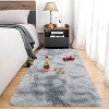 Acekool Ultra Soft Shaggy Rug, Non-Slip Plush Indoor Carpet, Tie-Dye & Solid Colors for Living Room, Bedroom – Multiple Sizes - 3 of 4