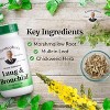 Christopher’s Lung & Bronchial Formula – 100 Capsules – Respiratory Support with Mullein & Chickweed - 3 of 4