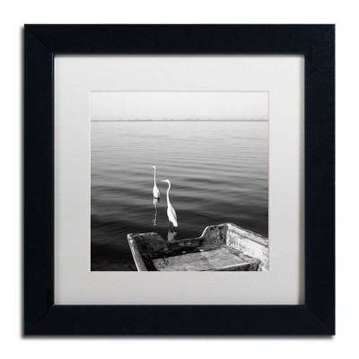 Black Framed Herons Photography on Canvas with Acrylic Mat