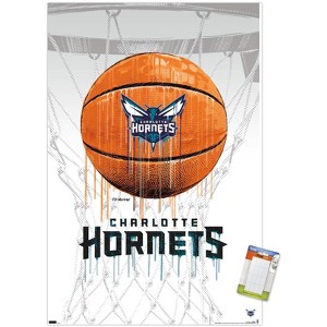 Trends International NBA Charlotte Hornets - Drip Basketball 21 Unframed Wall Poster Prints - 1 of 4