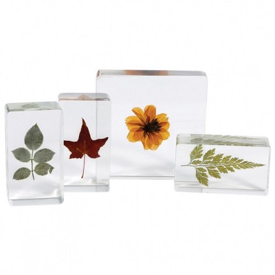 Kaplan Early Learning Plant Life Specimen Set  - Set of 4