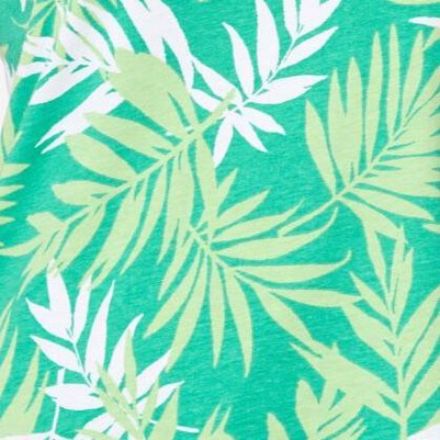 tropical palm leaf
