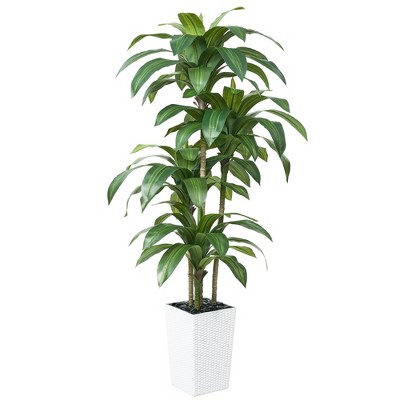 5-6ft UV & Sunproof Artificial Dracaena Tree for Indoor/Outdoor - Faux Silk Plant in Tall Planter, Tall Faux Tree for Home & Garden Decor