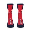 MLB St Louis Cardinals Adult Crew Socks: Cushioned Heel & Toe, Knit Fabric - 2 of 3