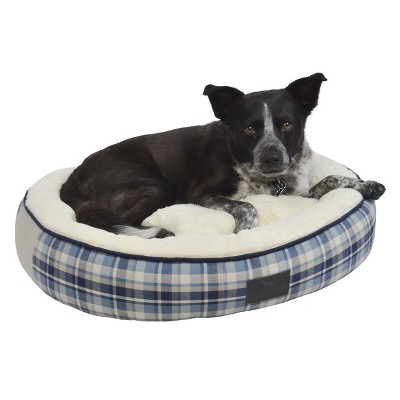 target donut dog toy