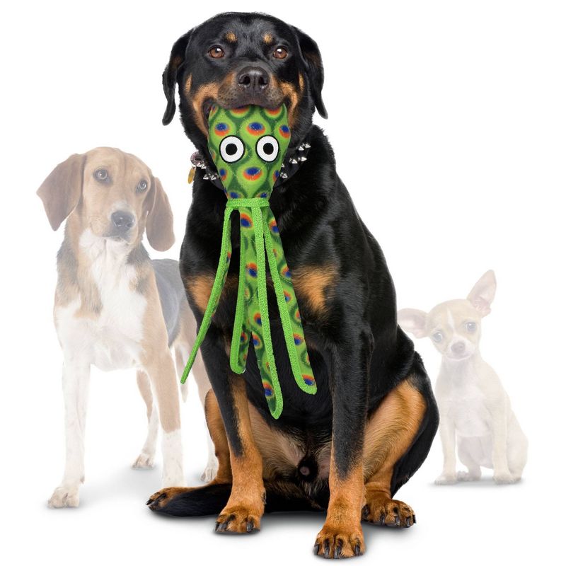 Tuffy Ocean Creature Squid Dog Toy - Green, 3 of 5
