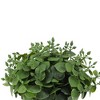 Unique Bargains Artificial Plants Eucalyptus Plant in White Pot Plastic Green 1 Pc - 4 of 4