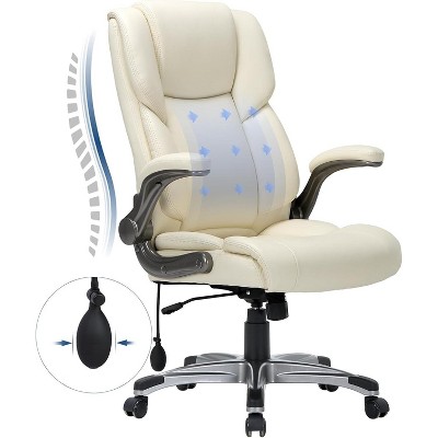 Ergonomic Office Chair 300lbs with Inflatable Lumbar Support