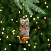 Northlight 5" Glittery Glass Perched Owl on a Branch Christmas Ornament - Gold/Silver - 2 of 4