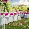 Unique Bargains Elastic Decorations Chair Cover Bands Sashes Bow Tie 10 Pcs - 2 of 4
