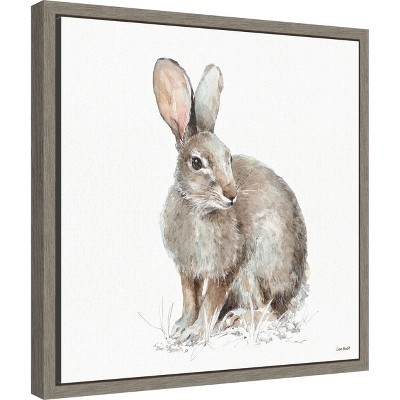 Lisa Audit Framed Canvas Print of Rabbit in Forest