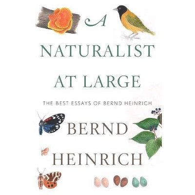 A Naturalist at Large - by  Bernd Heinrich (Hardcover)