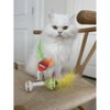Haute Diggity Kitty by Haute Diggity Dog Kitty Cocktails (2 cocktails) Crinkle Cat Toy with Catnip - 2 of 3