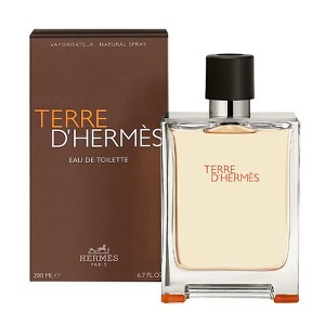 Hermes Terre D'Hermes for Men Eau de Toilette Spray, 6.7 oz - 1 of 4