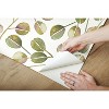 RoomMates Cat Coquillette Eucalyptus Peel and Stick Wallpaper Green: Removable Vinyl, Self-Adhesive, 28 Sq Ft Coverage - 3 of 4