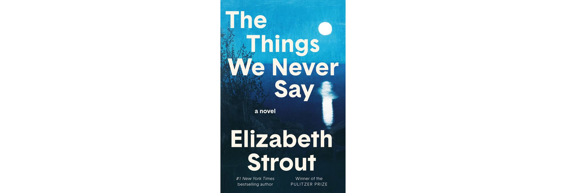 The Things We Never Say - by  Elizabeth Strout (Hardcover)