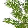 Vickerman Artificial Potted Giant Areca Palm Tree - 2 of 4