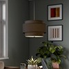 Hudson and Canal 16" Wide 2-Light Pendant with Tiered Fabric Shade - 4 of 4