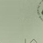 960 counts (12 packs)