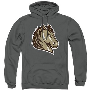 Southwest Minnesota State University Official Distressed Primary Adult Pull-Over Hoodie - 1 of 4
